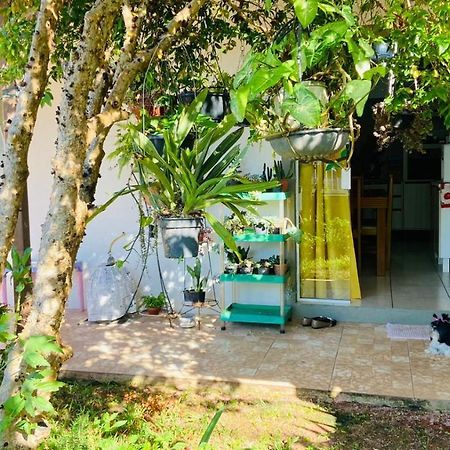 Para Desfutar Com A Familia Bombinhas Bagian luar foto